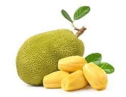 Fresh Jackfruit